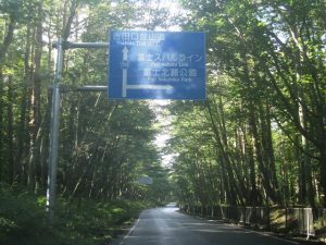 新屋山神社 奥院への道