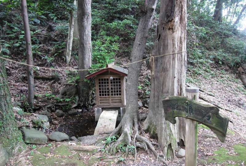 左眼池（八菅神社）