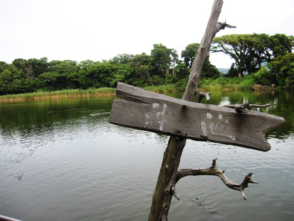 大瀬神社・神池