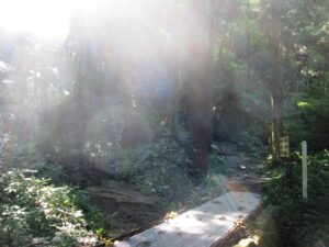 石老山の光
