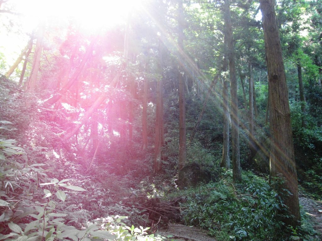 石老山の光