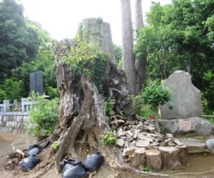 長谷寺