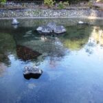 清左衛門地獄池