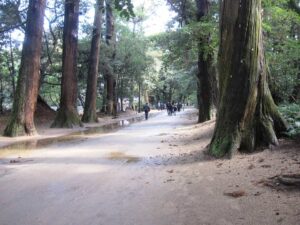 鹿島神宮 奥参道