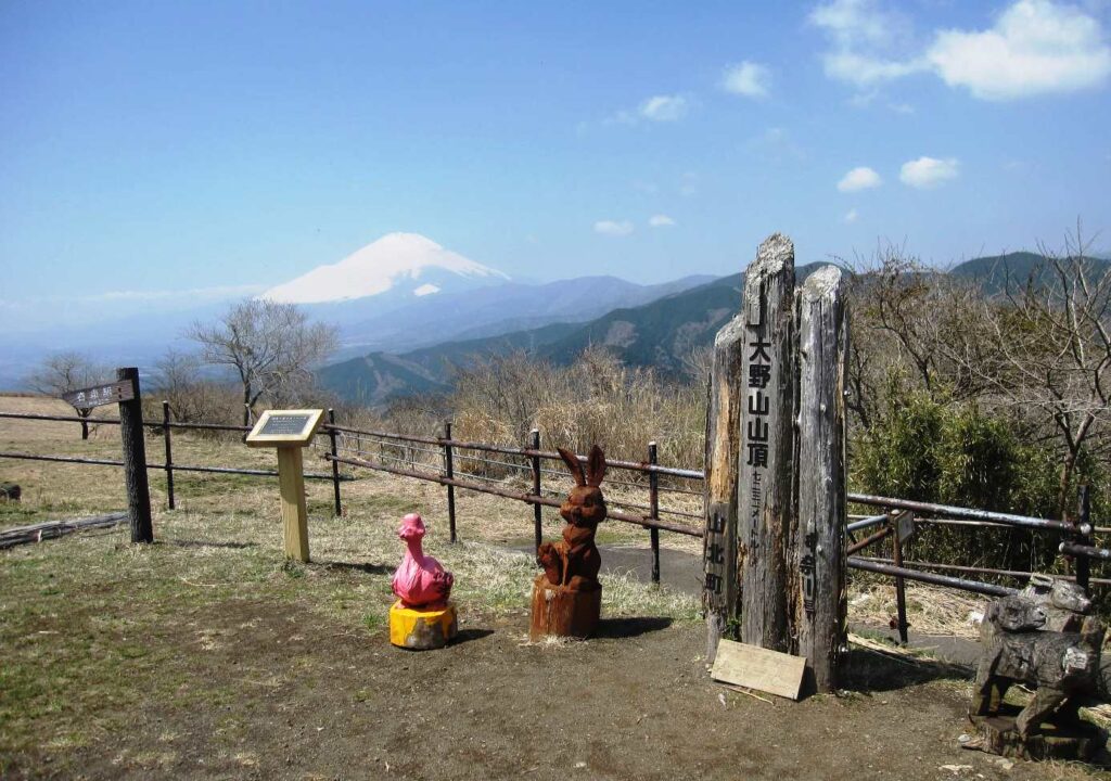 大野山