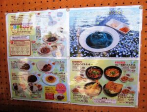 ひたち海浜公園 ネモフィラカレー