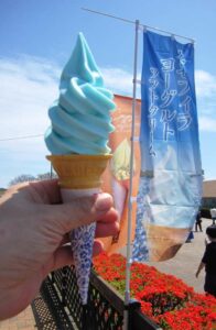 ひたち海浜公園 ネモフィラソフト