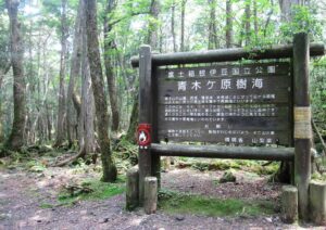 青木ヶ原樹海