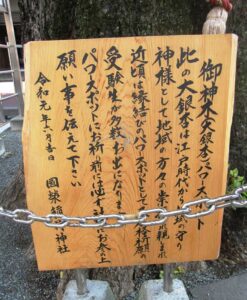 國榮稲荷神社 御神木