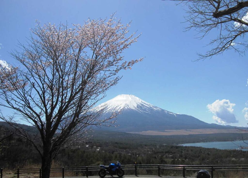山中湖パノラマ台から富士山