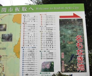 モネの池