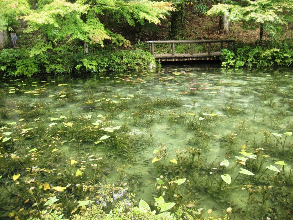 モネの池