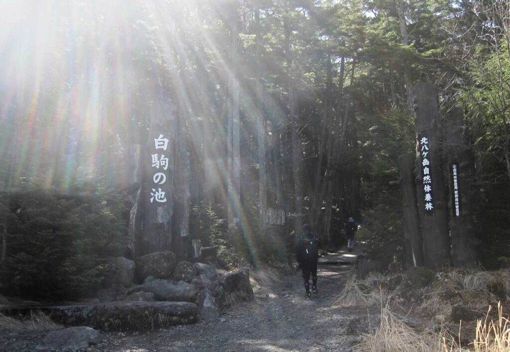 白駒の池入口