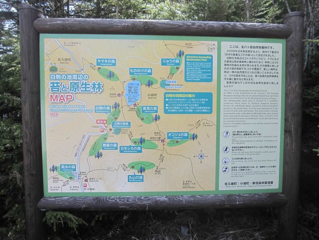 白駒の池