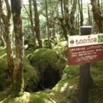 白駒の池 もののけの森