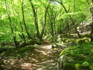 石空川渓谷