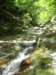 石空川渓谷