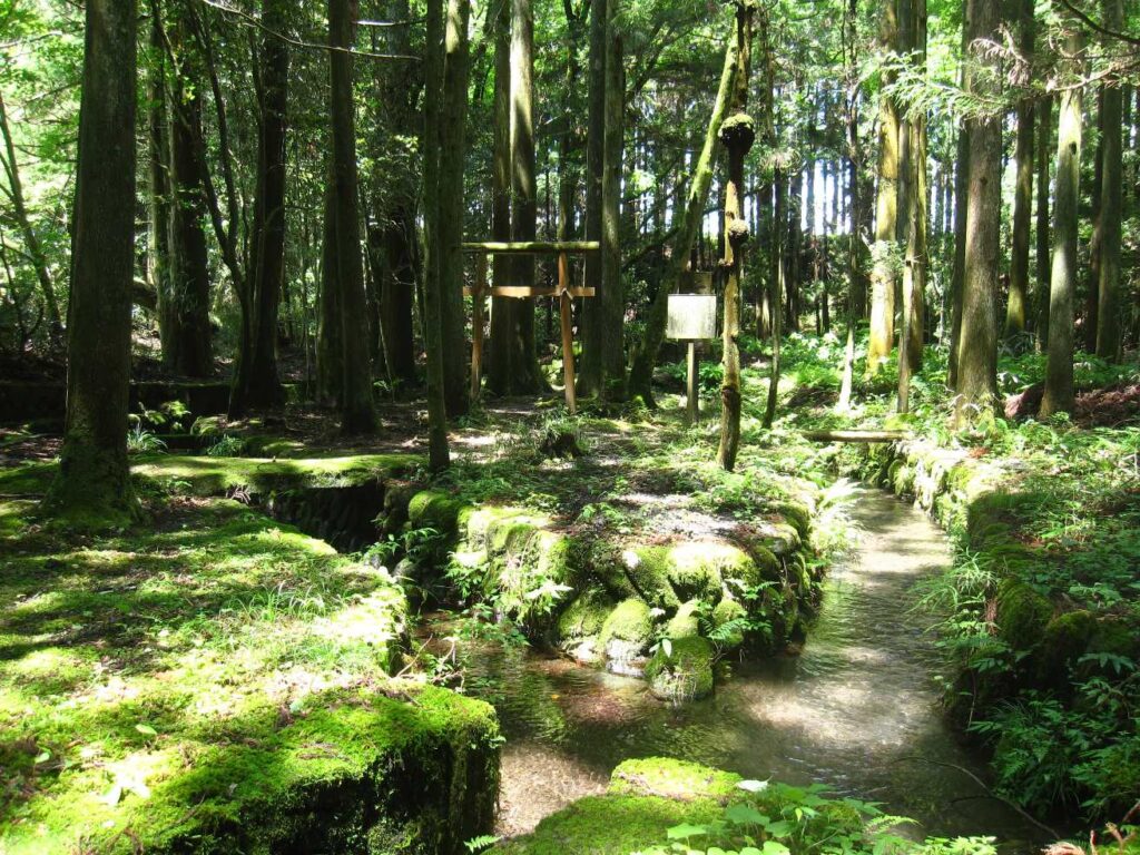 仁杉水神社