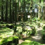 仁杉水神社