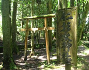 仁杉水神社