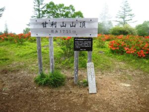甘利山山頂