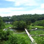 厳島神社・厳島湿性公園