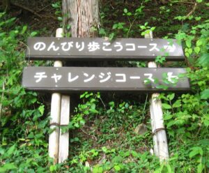 大柳川渓谷