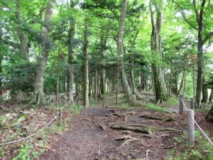 東口本宮冨士浅間神社