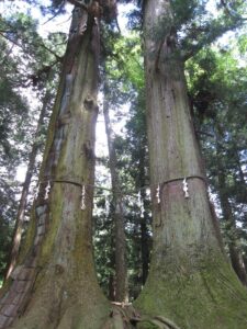 河口浅間神社