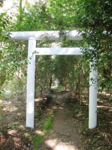 天照山神社の白い鳥居