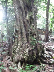 八菅神社