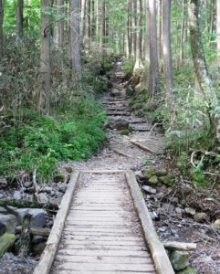 公時神社 奥の院へ続く道