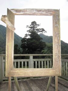 中川の箒杉 額縁