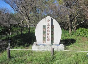 今泉遊水池