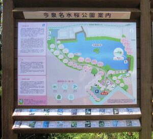 秦野盆地湧水群