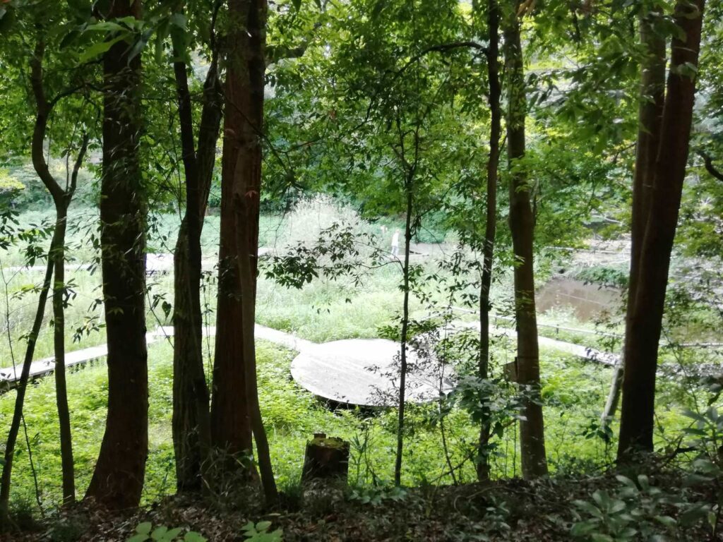座間谷戸山公園
