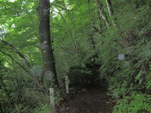飛龍の滝に舞うオーブ