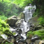 飛龍の滝