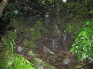 飛龍の滝に舞うオーブ
