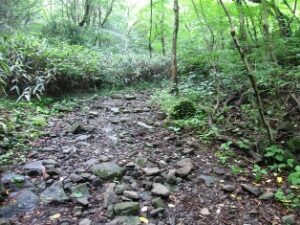 飛龍の滝