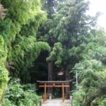 白山神社の鳥居