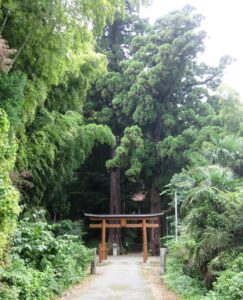 白山神社の鳥居