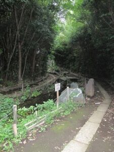 出雲大社相模分祠,龍蛇神の杜