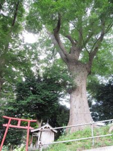健速神社