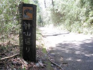 神山通り