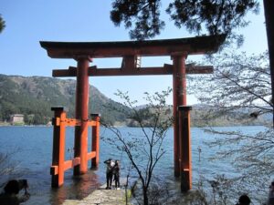 箱根神社の鳥居