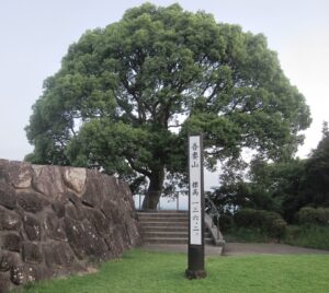 吾妻山公園 
