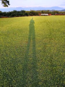 吾妻山公園 