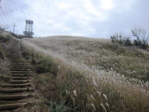 十里木高原展望台