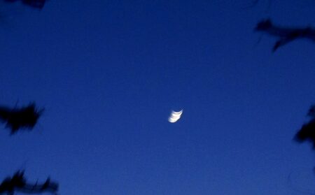うだつの町並み